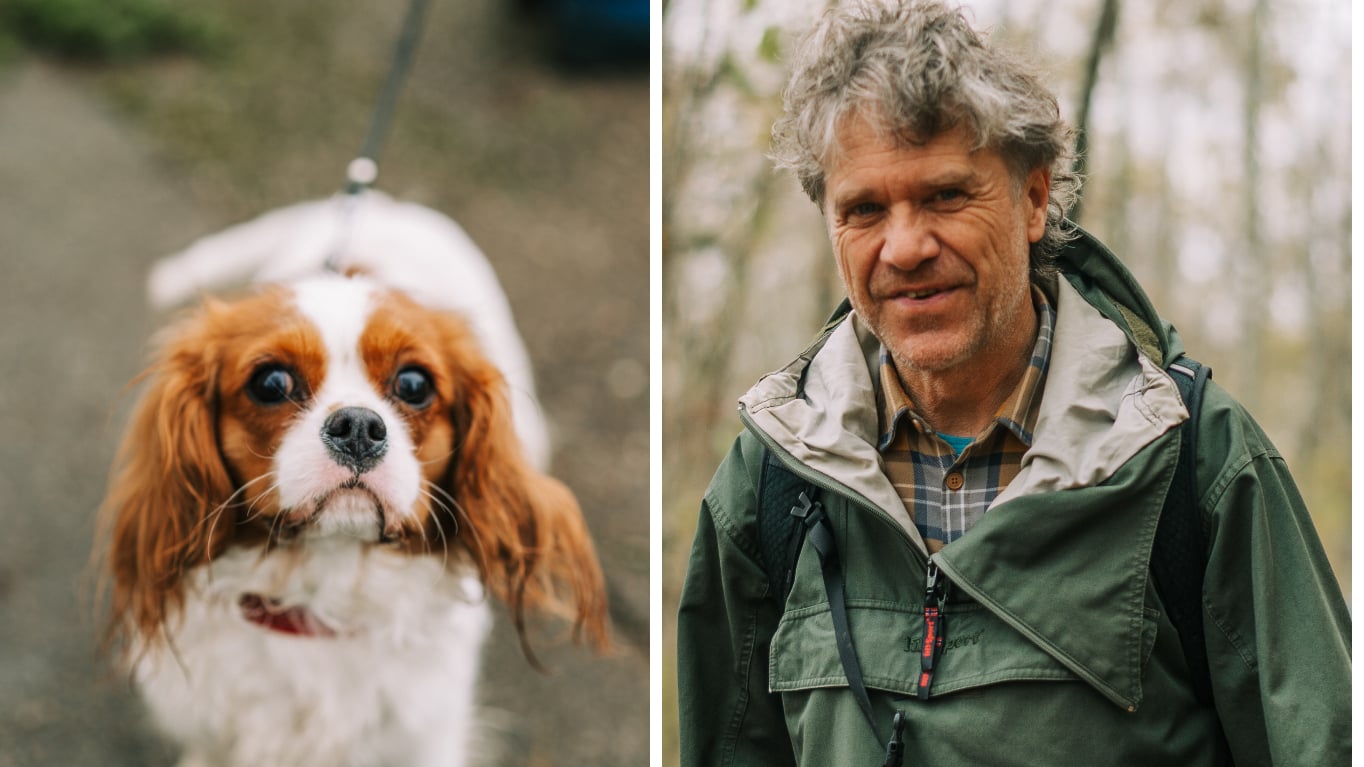 Māris Olte Hosted a Grand Gathering of 26 Cavalier King Charles Spaniels