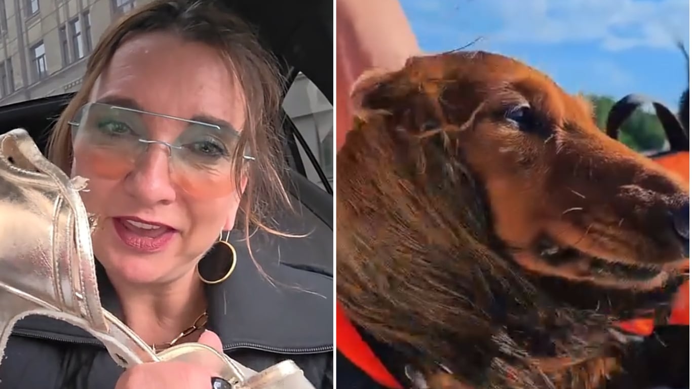 Baiba warns dog Uni after he ruins her expensive dance shoe